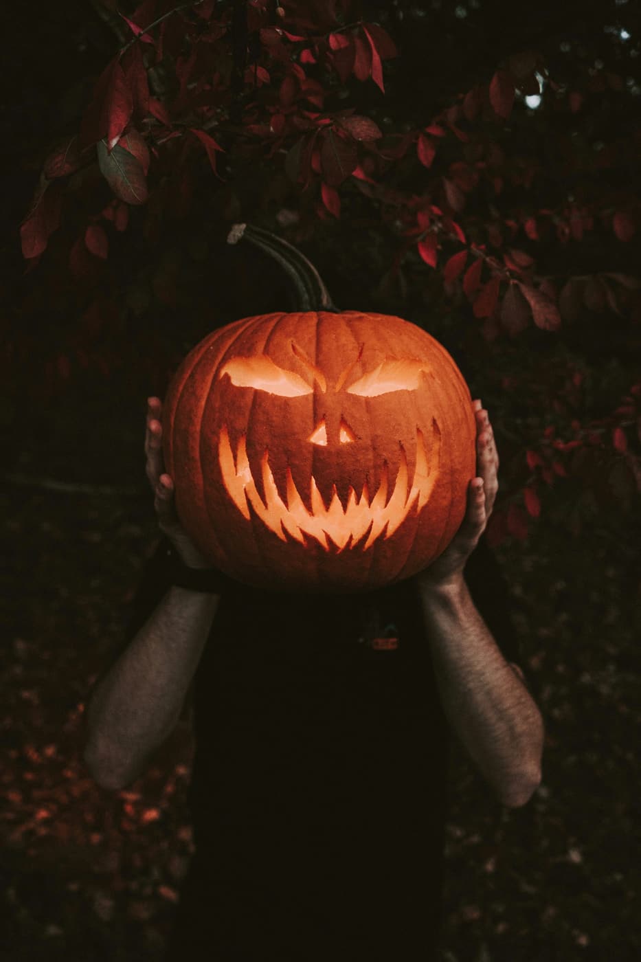 Two hands holding a glowing carved jack-o-lantern in the dark.
