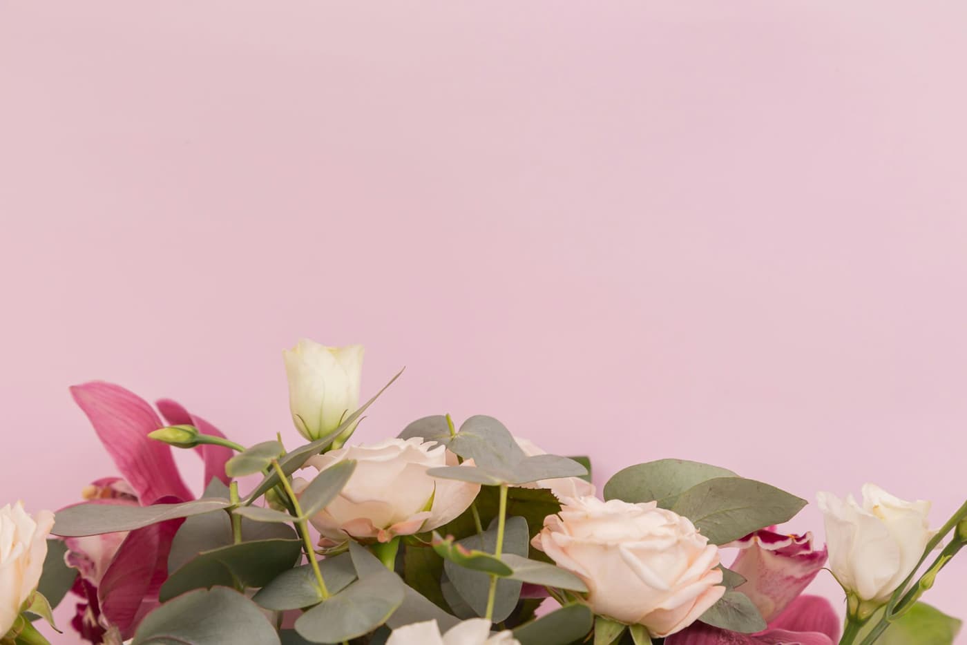 White and pink roses with eucalyptus on a soft pink background.